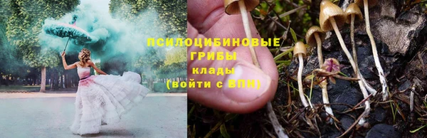 круглые Алзамай